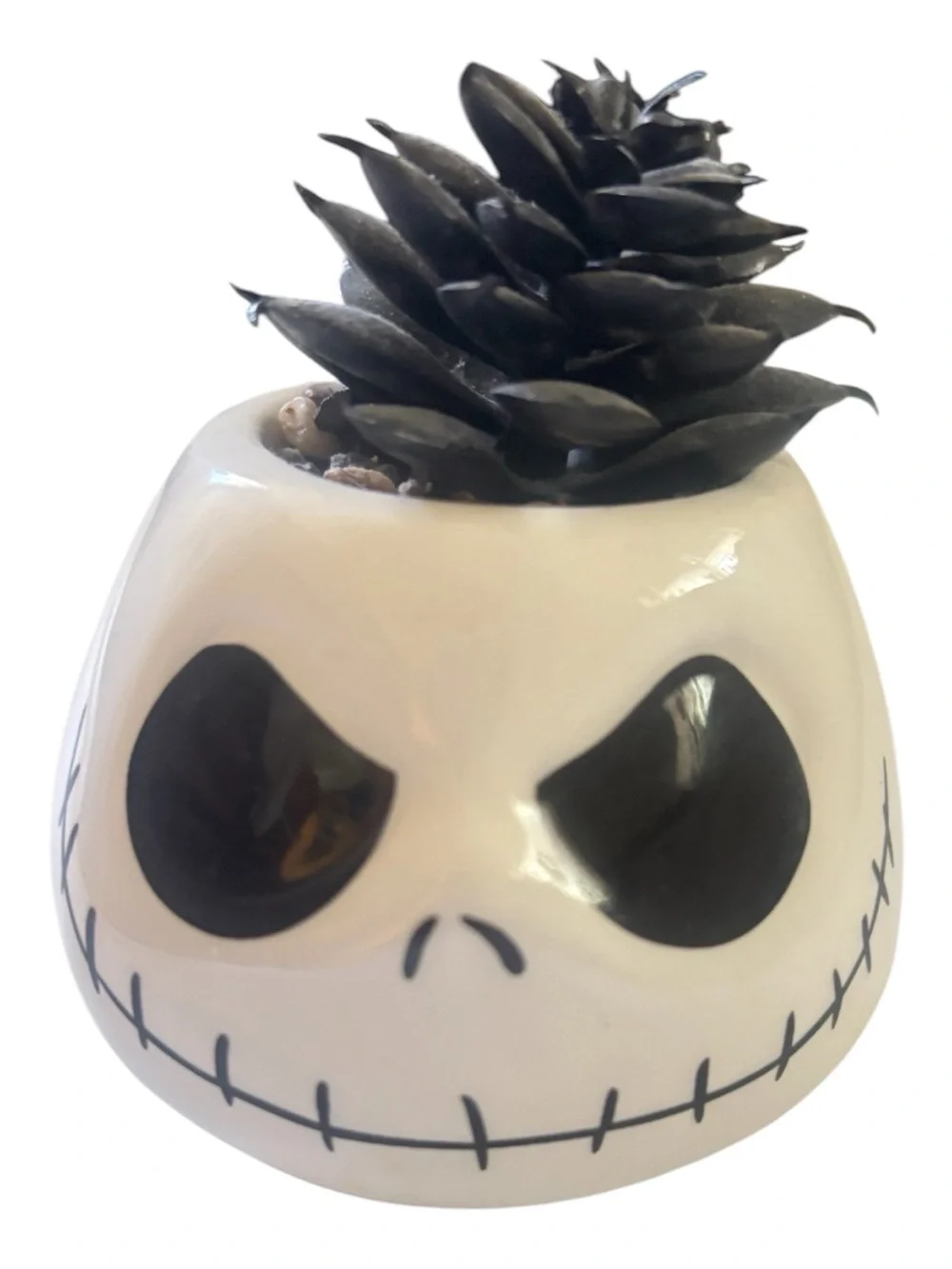 Nightmare before Christmas Ceramic  Character Faux Succulent Planter Set of 4